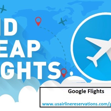 google flights